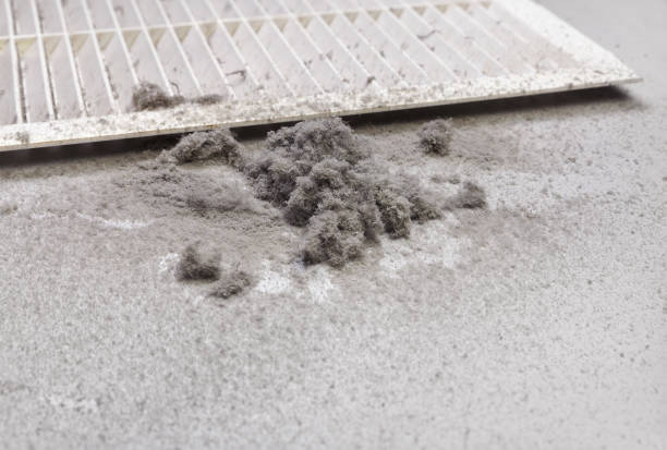Best HVAC System Cleaning  in Elverson, PA