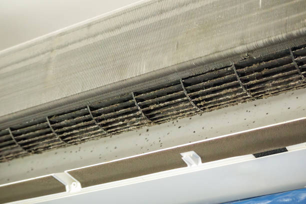 Best Air Duct Cleaning Near Me  in Elverson, PA